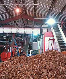 Photo: interior of a processing plant with wood chips piled in foreground.
