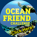 ocean friend challenge icon