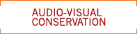 Audio-Visual Conservation