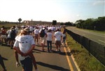 FREEDOM WALK - Click for high resolution Photo