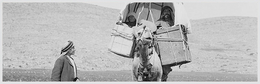 Costumes, characters, etc. Natives travelling on camel-back