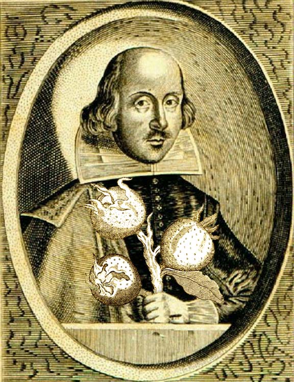 Shakespeare with Medlars