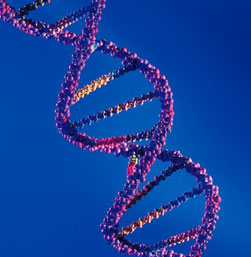 Photo of DNA strand