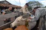 USNS COMFORT - Click for high resolution Photo