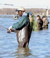 Fishermen wading in the Maumee river, April, 1999