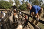 CATTLE CORRAL - Click for high resolution Photo