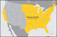Approximate distribution of the American dog tick by state. Yellow indicates approximate distribution area.