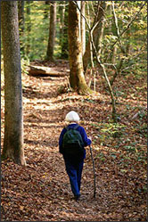 Woman on wooded path