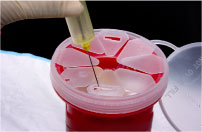 appropriately disposing materials used in performing a venipuncture procedure