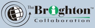 Brighton Logo