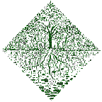 The eco system surronding a tree