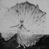 Thumbnail image of  white satin costume with pearls 
and an enormous fan
