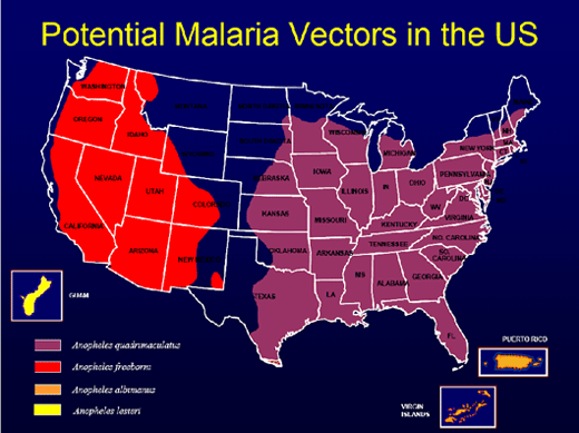 a map showing the potential malaria vectors in the united states of america