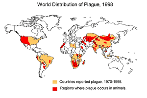 World distribution of plague, 1998