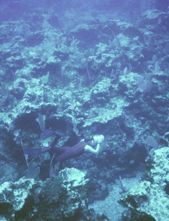 underwater photograph