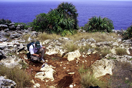 on-land photograph