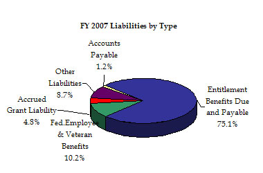 FY 2007 Liabilities by Type: accounts payable, other liabilities, accrued grant liability, federal employee and veteran benefits, and entitlement benefits due and payable.