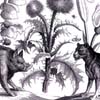 Thumbnail Image of Hollar's "A Boare, a Mastiff, a Thistle"