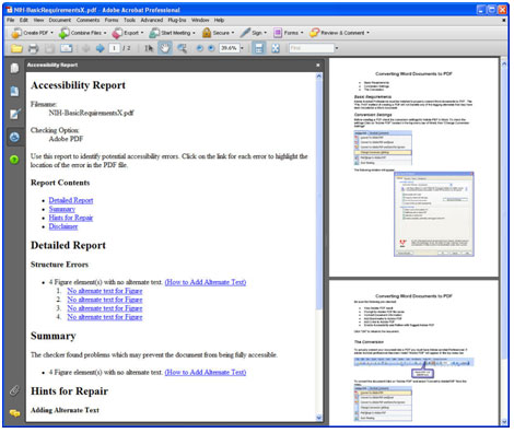 Screen shot of the Accessibility Report.