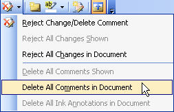 Graphic showing drop down menu choices when the Delete Comment icon has been clicked. Delete All Comments in Document has been selected.
