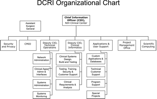 A graphic of DCRI's organization.  A textual description of the department's organization can be found at http://www.cc.nih.gov/dcri/whatwedo.html