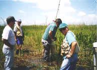 photo of scientists in the field