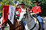 Photo: Mounted Color Guard 
