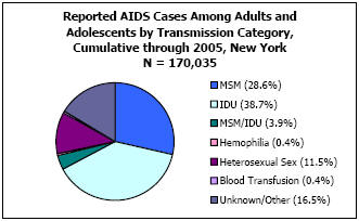 Reported AIDS Cases Among Adults and Adolescents by Transmission Category, Cumulative through 2005, New York N = 170,035 MSM - 28.6%, IDU - 38.7%, MSM/IDU - 3.9%, Hemophilia - 0.4%, Heterosexual Sex - 11.5%, Blood Transfusion - 0.4%, Unkown/Other - 16.5%