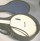 Five-String Fretless Banjo