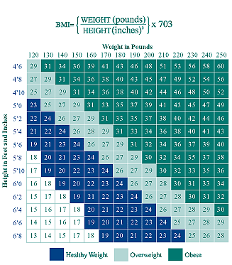 A grid containing Body Mass Index measurements
