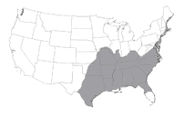 Image: Map showing distribution of lone star ticks in the United States. (click to open 27KB pdf)