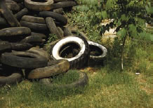 Photograph of tires in a field