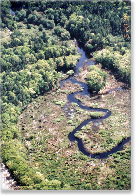 An areal view of the French River upstream of Hodges Village Dam.  The narrow river is winding through wetlands surrounded by upland forests.