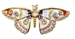 photo of Jeweled Butterfly Brooch
