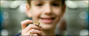 Photo: Boy holding a gecko