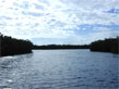 photo of a channel through mangroves