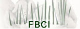 FBCI logo