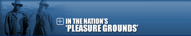 In The Nation's 'Pleasure Grounds'