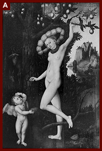 Photographic copy of “Cupid Complaining to Venus” by Lucas Cranach the Elder, ca. 1525, Katalog der Privat-Gallerie Adolf Hitlers. 1936