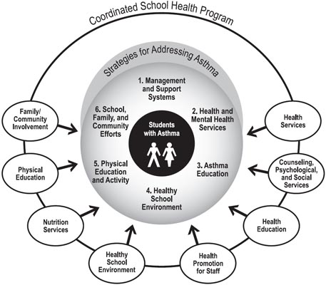 Coordinated School Health Program (CSHP) Model: Health Education; Physical Education; Health Services; Nutrition Services; Counseling, Psychological, and Social Services; Healthy School Environment; Health Promotion for Staff; Family and Community Involvement. The six strategies for addressing asthma fit within the CSHP model.