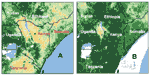 Figure 1. Images from advanced, very high resolution radiometer instrument on a National Oceanic and Atmospheric Administration satellite comparing normalized difference vegetation index data (as a surrogate for rainfall), from December 1996 (A) and December 1997 (B). Increasing vegetation is depicted from tan to yellow [predominating in part (a)], to light and dark green [predominating in (b)].