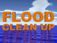 Flood Cleanup