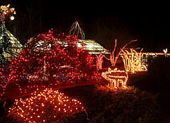 Photo: outline of pig in colored lights, as well as trees strung with colored lights.