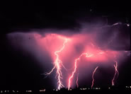 Several lightning bolts go from clouds to the ground.