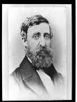 Henry Thoreau portrait