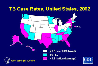 Slide 4: TB Case Rates, 2002. Click here for larger image