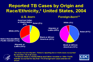Slide 13: Reported TB Cases by Origin and Race/Ethnicity, United States, 2004. Click here for larger image
