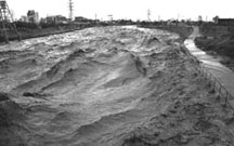 Santa Cruz River, Tucson, 10/2/83