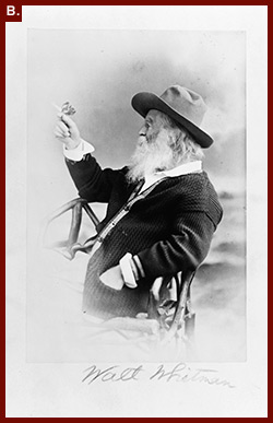 Whitman and the butterfly from the 1889 edition of Leaves of Grass (Philadelphia, Ferguson Bros. & Co., PS3201 1889, Rare Book Collection, Library of Congress)