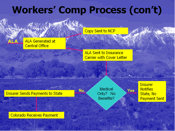 Colorado Worker Compensation Process cont' 